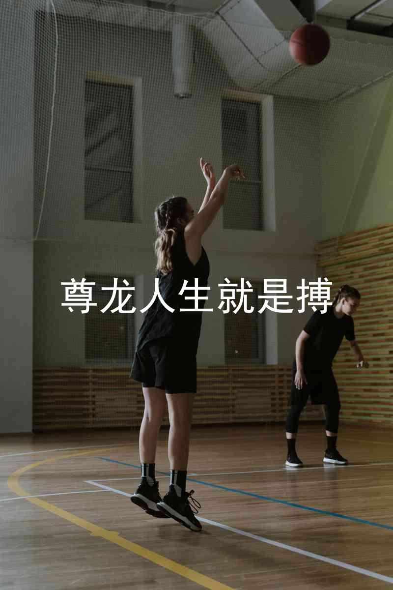 尊龙人生就是搏