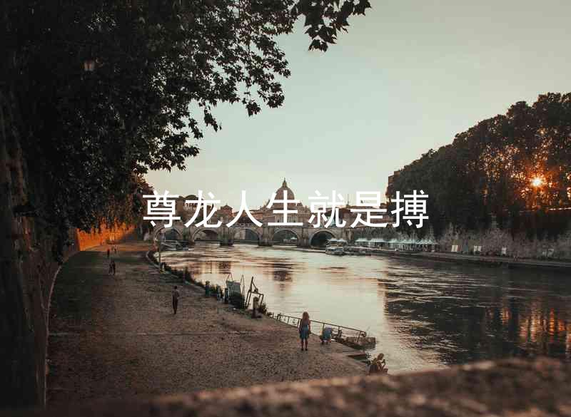 尊龙人生就是搏