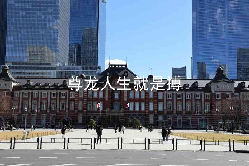 尊龙人生就是搏