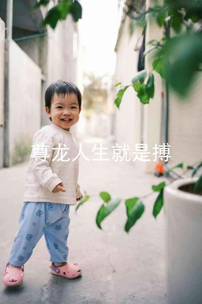 尊龙人生就是搏