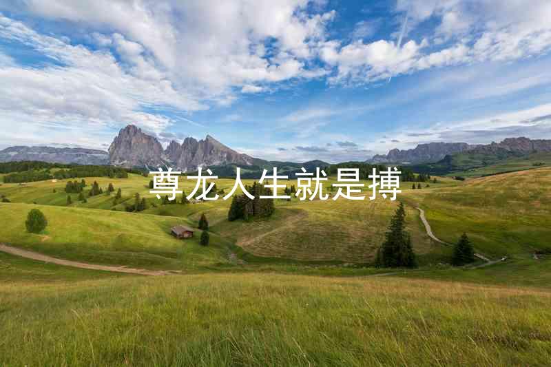 尊龙人生就是搏
