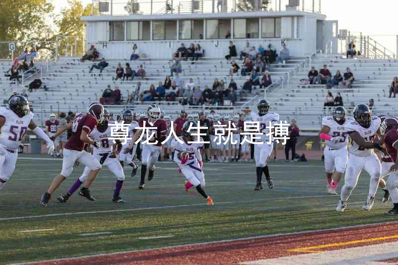 尊龙人生就是搏